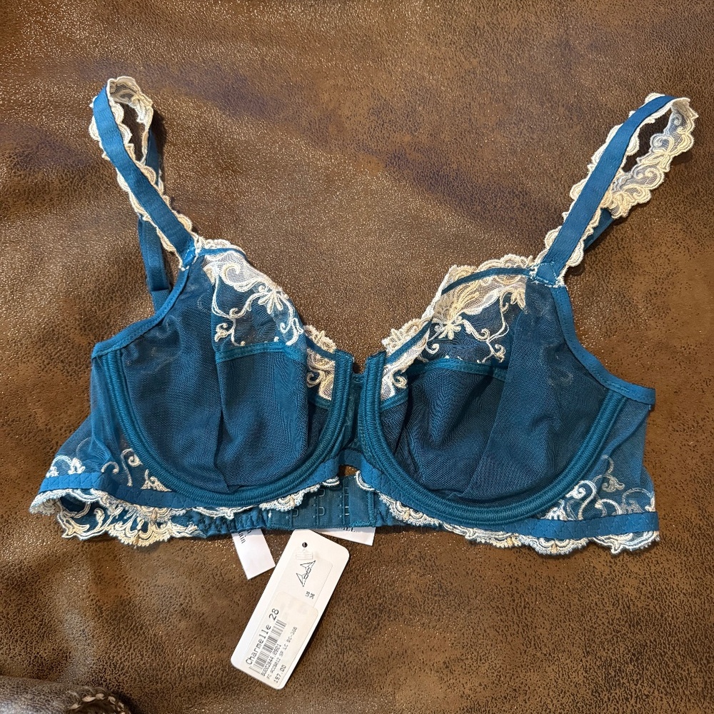 Lise Charmel Splendeur Soie Silk Lace Bra 36B NWT Luxury French Lingerie